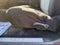 2008 Chevrolet Colorado LT w/1LT
