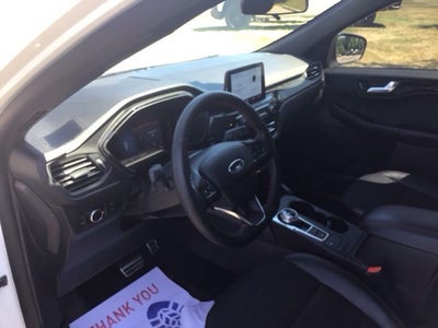 2024 Ford Escape Hybrid ST-Line
